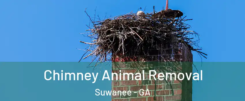 Chimney Animal Removal Suwanee - GA