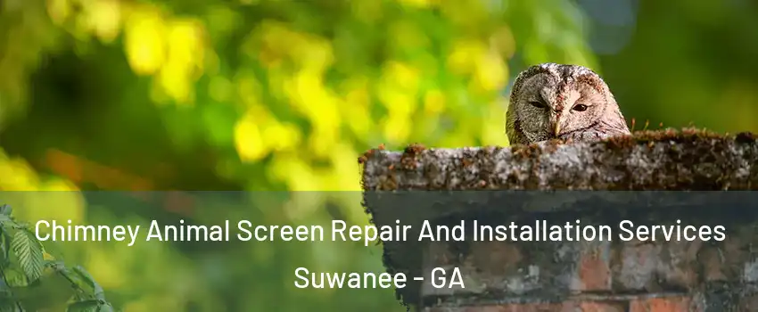  Chimney Animal Screen Repair And Installation Services Suwanee - GA