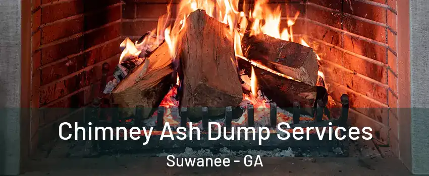  Chimney Ash Dump Services Suwanee - GA