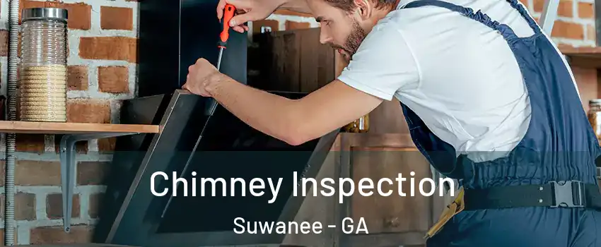  Chimney Inspection Suwanee - GA