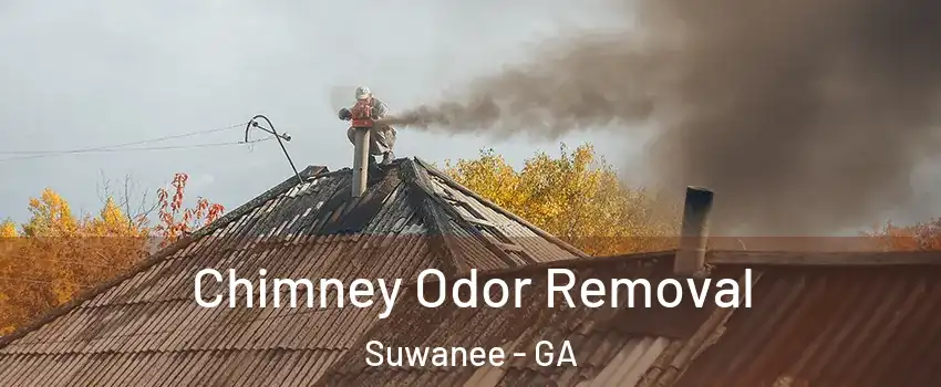  Chimney Odor Removal Suwanee - GA