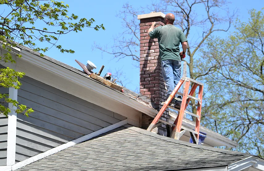 Chimney & Fireplace Inspections Services in Suwanee, GA