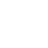 Professional Chimney Flue Installation in Suwanee, Georgia