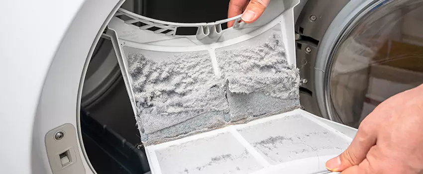 Best Dryer Lint Removal Company in Suwanee, Georgia