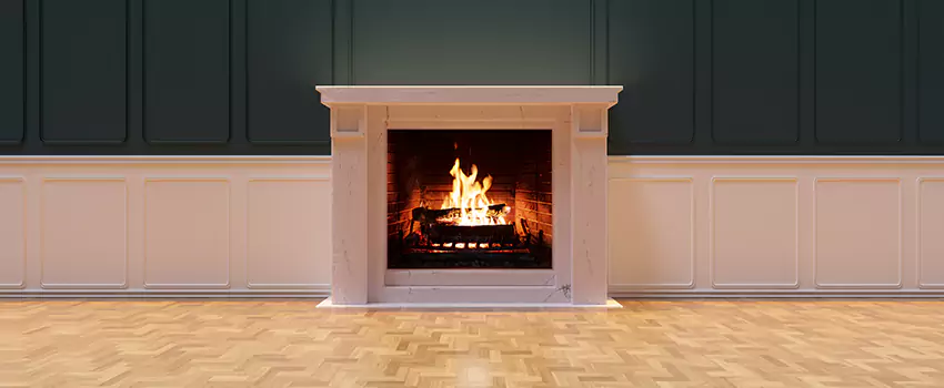 Napoleon Electric Fireplaces Inspection Service in Suwanee, Georgia