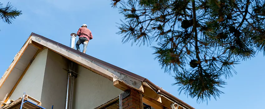 Birds Removal Contractors from Chimney in Suwanee, GA