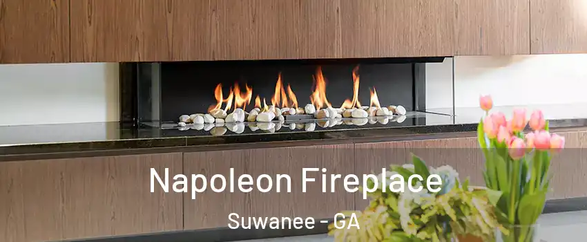  Napoleon Fireplace Suwanee - GA